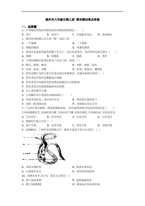 福州市八年级生物上册 期末测试卷及答案