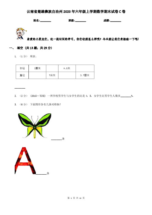 云南省楚雄彝族自治州2020年六年级上学期数学期末试卷C卷