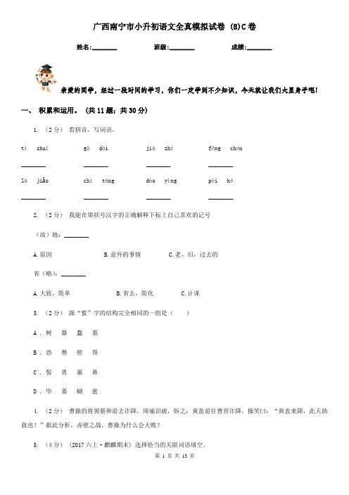 广西南宁市小升初语文全真模拟试卷 (8)C卷