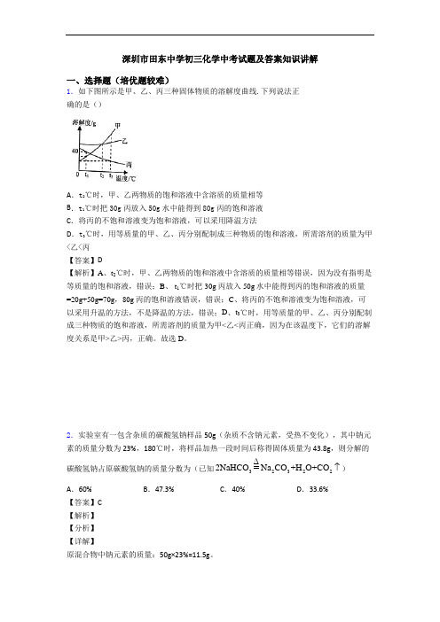 深圳市田东中学初三化学中考试题及答案知识讲解