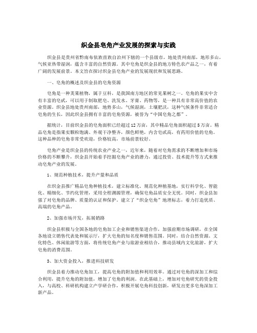 织金县皂角产业发展的探索与实践