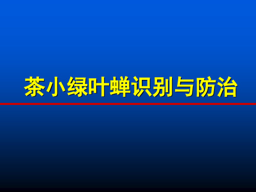 茶小绿叶蝉基本知识介绍