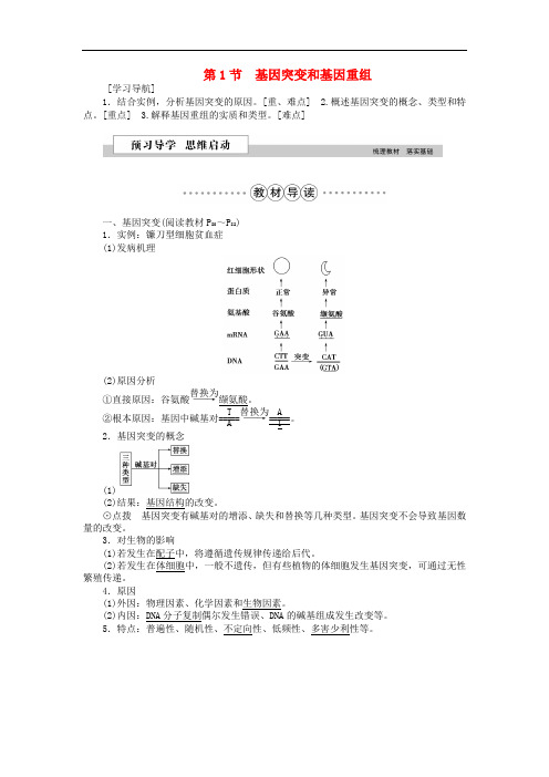 高中生物 第五章 基因突变及其他变异 第1节 基因突变