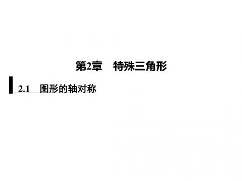 2019秋浙教版八年级数学上册课件:2.1 图形的轴对称(共23张PPT)
