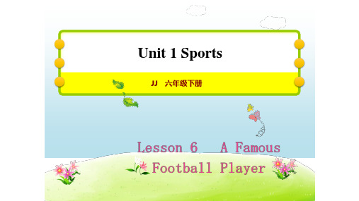 六年级下英语习题课件 Lesson 6  A Famous Football Player 冀教版