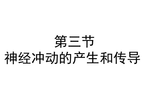 高三生物一轮-神经调节之兴奋的产生、传导和传递