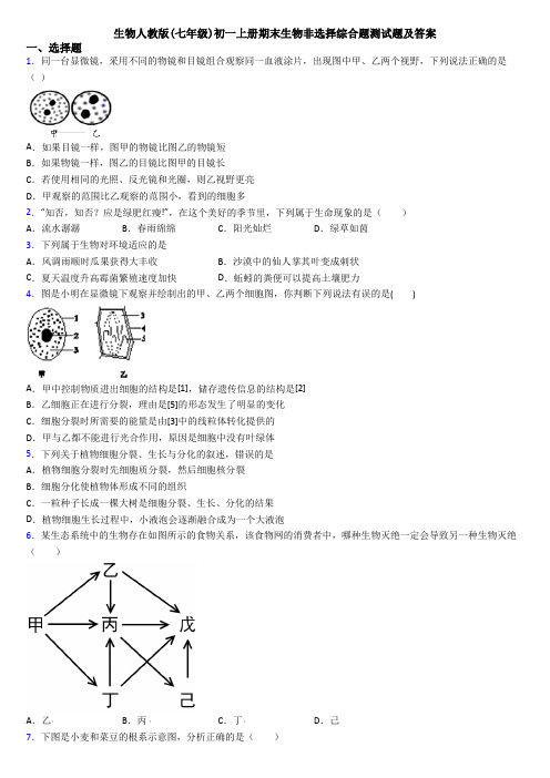 生物人教版(七年级)初一上册期末生物非选择综合题测试题及答案