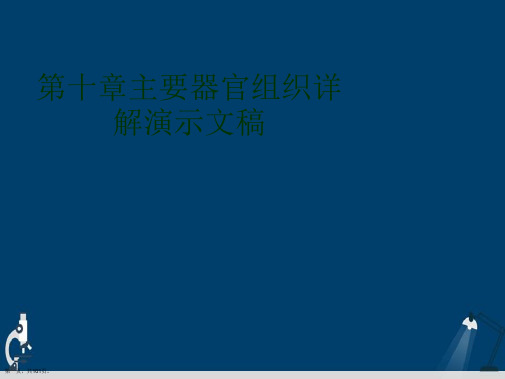 第十章主要器官组织详解演示文稿