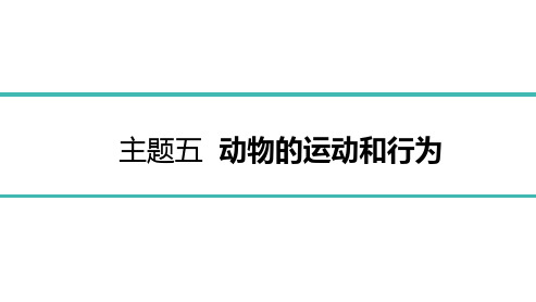 2022年中考生物总复习主题五动物的运动和行为