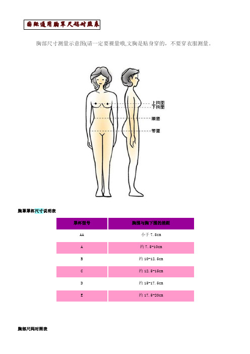 国际通用胸罩尺码对照表 及其他