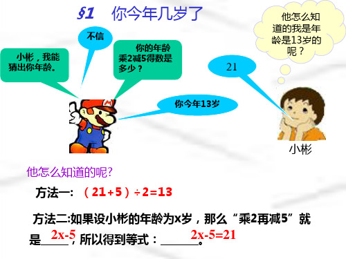 你今年几岁了17页PPT