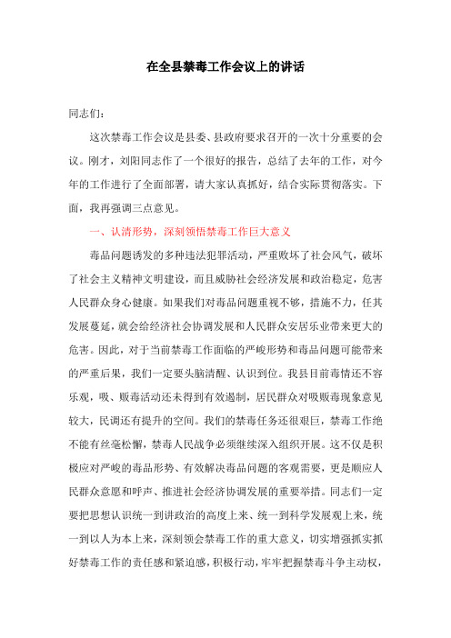 讲话稿：在全县禁毒工作会议上的讲话