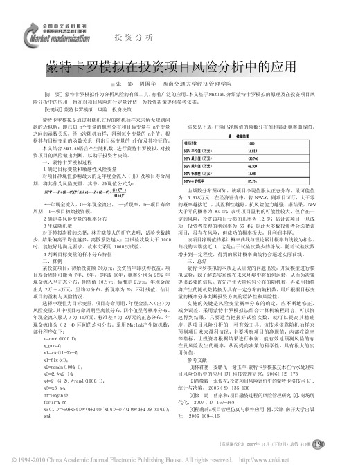 蒙特卡罗模拟在投资项目风险分析中的应用