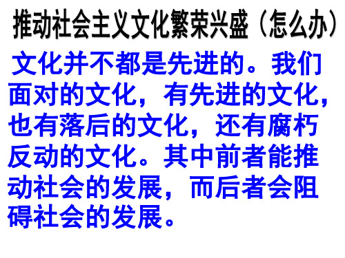 推动社会主义文化繁荣兴盛