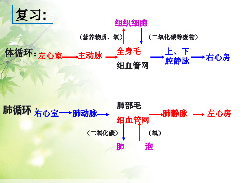 人教版七年级下册生物：4.4输血和血型 课件(共36张PPT)