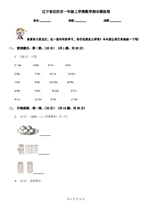 辽宁省沈阳市一年级上学期数学期末模拟卷