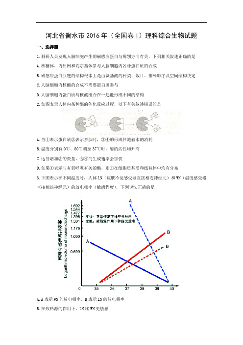 生物高考模拟卷-高三生物试题及答案-衡水市2016年(全国卷I)理科综合生物试题