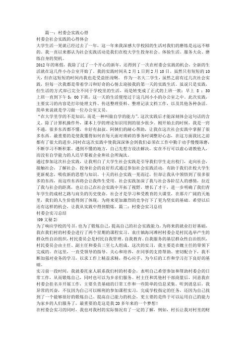 村委会实习总结