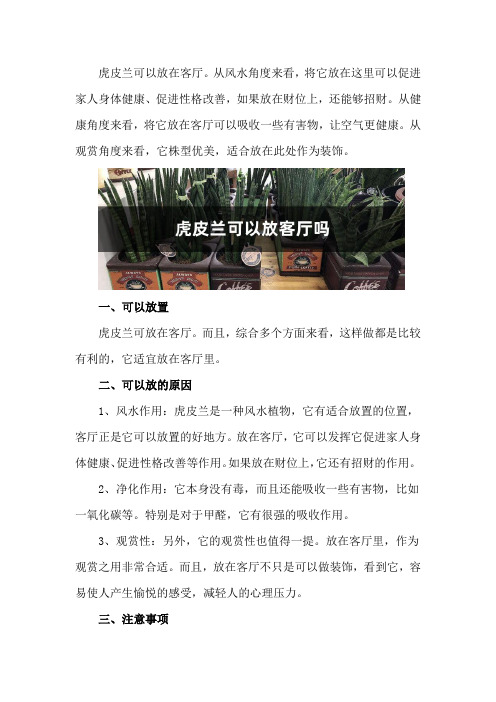 虎皮兰可以放客厅吗