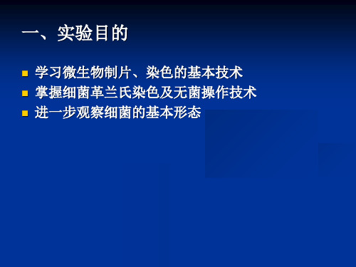 实验二细菌革兰氏染色