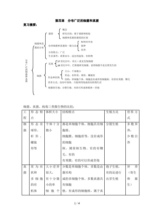 《分布广泛的细菌和真菌》知识点复习