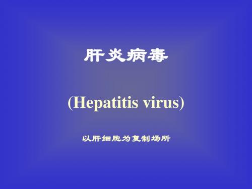 7-25 秦  hepatitis virus