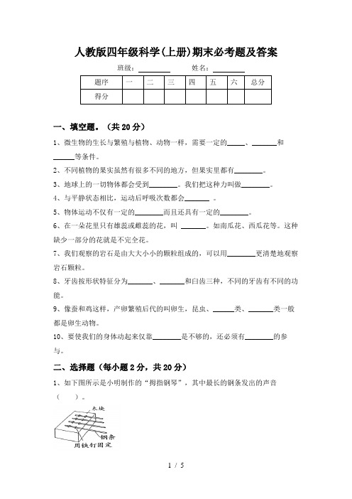 人教版四年级科学(上册)期末必考题及答案