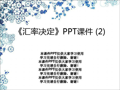 《汇率决定》PPT课件 (2)