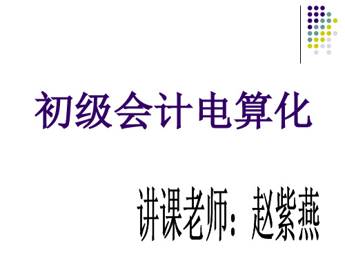 XXXX会计电算化课件