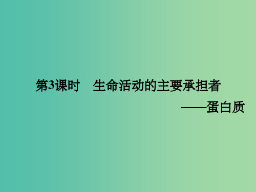 高考生物一轮复习 1.3生命活动的主要承担者-蛋白质课件