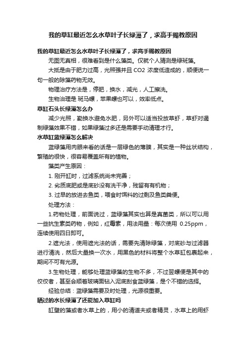 我的草缸最近怎么水草叶子长绿藻了，求高手赐教原因