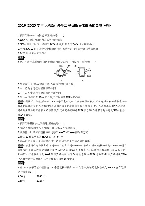 2019-2020学年 人教版  必修二 基因指导蛋白质的合成  作业