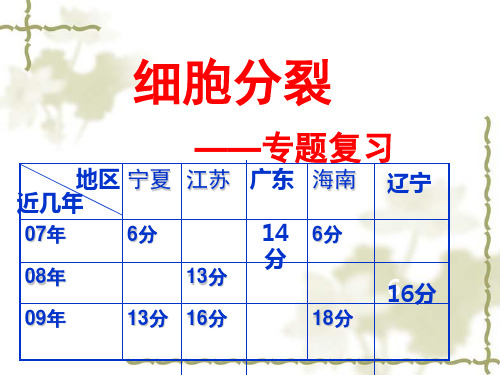 高中生物课件：一轮复习15减数分裂