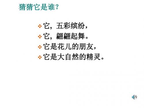 《台湾蝴蝶甲天下》课件(语文S版四年级语文上册课件)2---副本课件