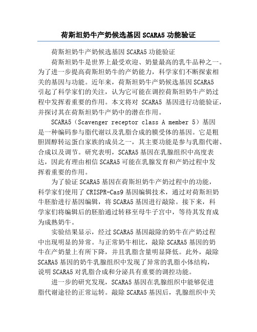 荷斯坦奶牛产奶候选基因SCARA5功能验证