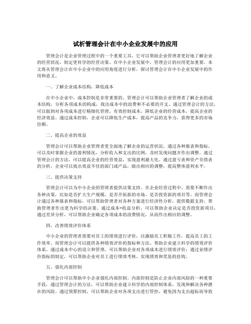 试析管理会计在中小企业发展中的应用