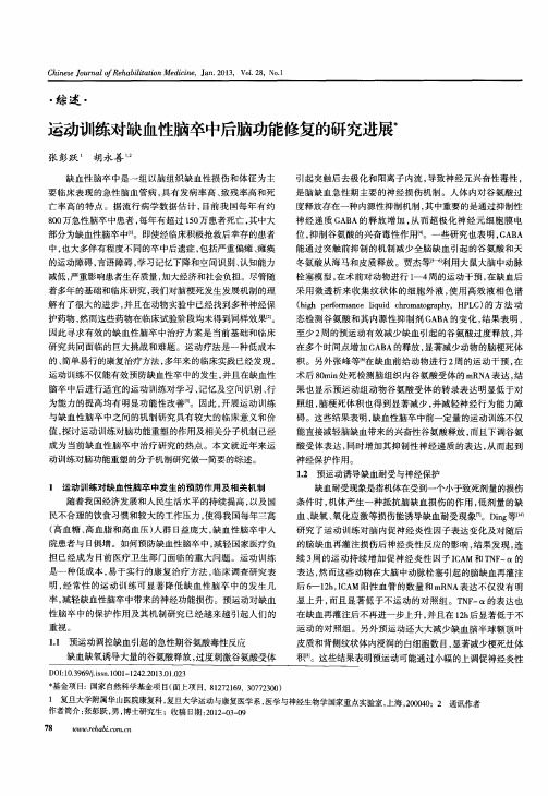 运动训练对缺血性脑卒中后脑功能修复的研究进展