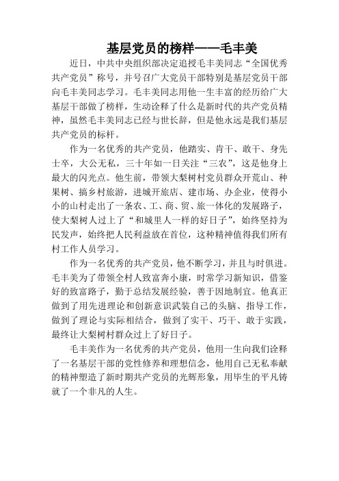 基层党员的榜样——毛丰美