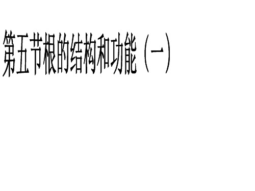 济南版生物八上4.1.5根的结构和功能