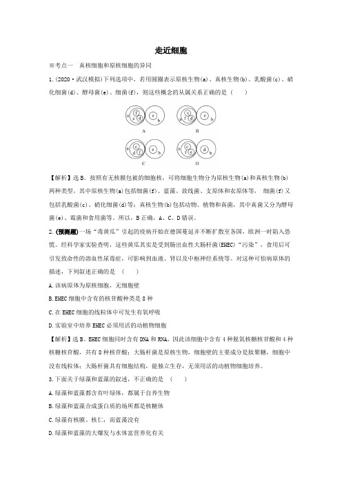 2021版高考生物一轮复习第1章走近细胞练习(含解析)新人教版必修1