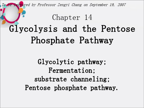 北大生化课件14 (2)
