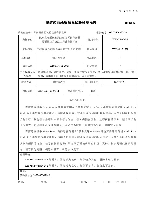 29172地质预报雷达法报告