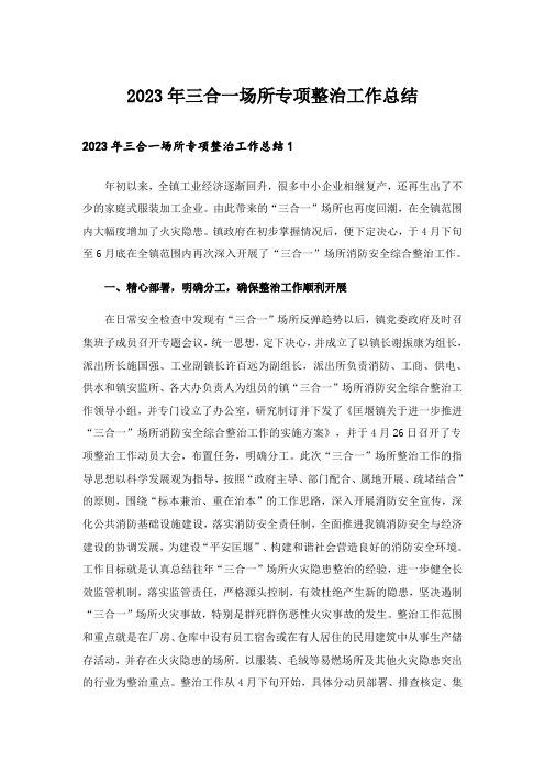 2023年三合一场所专项整治工作总结_1