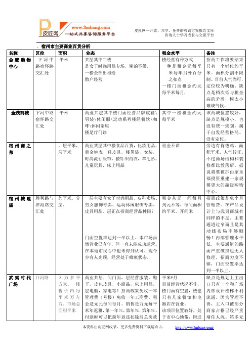 安徽宿州市商业市场分析报告DOC.doc