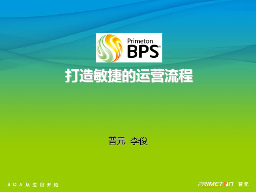 普元流程平台BPS