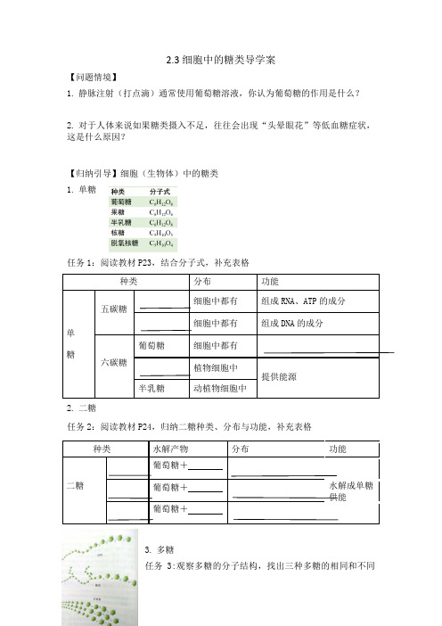 2.3细胞中的糖类和脂质(导学案)——高一上学期生物人教版必修1