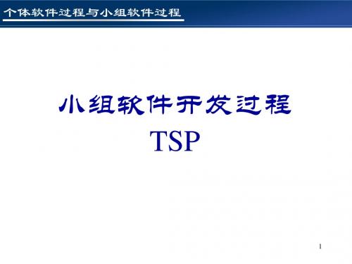 TSP-2(角色)