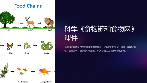 科学《食物链和食物网》课件