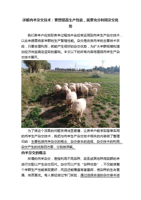 详解肉羊杂交技术：要想提高生产性能，就要充分利用杂交优势