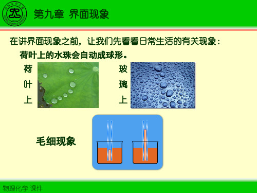 第九章界面现象